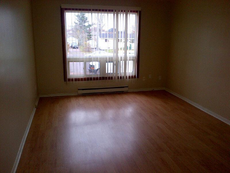 Renovated 2 Bedroom ****$690 including heat & lights****
