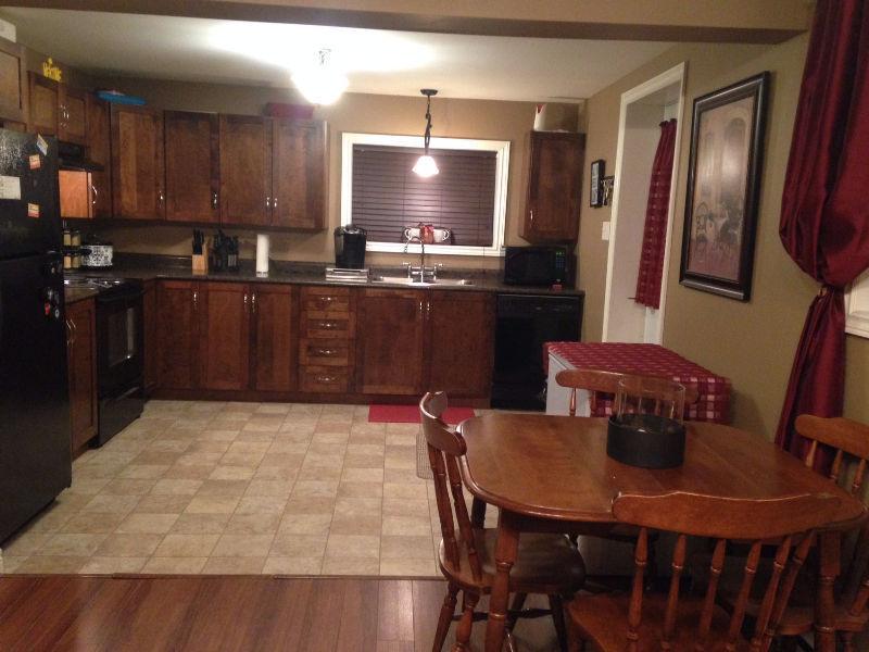 2 Bedroom Basement Apt. Mt.Pearl $950 POU