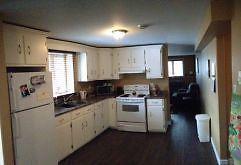 44a Brougham Drive-Awesome 2 bedroom apt in Paradise with washer