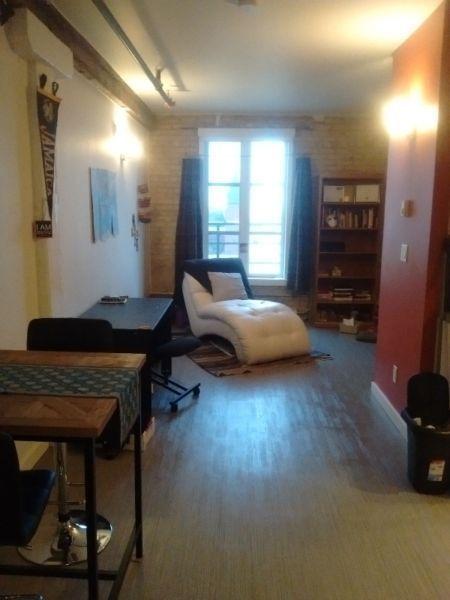 Beautiful character loft, great location, pet friendly! June 1st