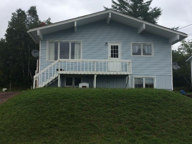 2 bedroom basement apartment!