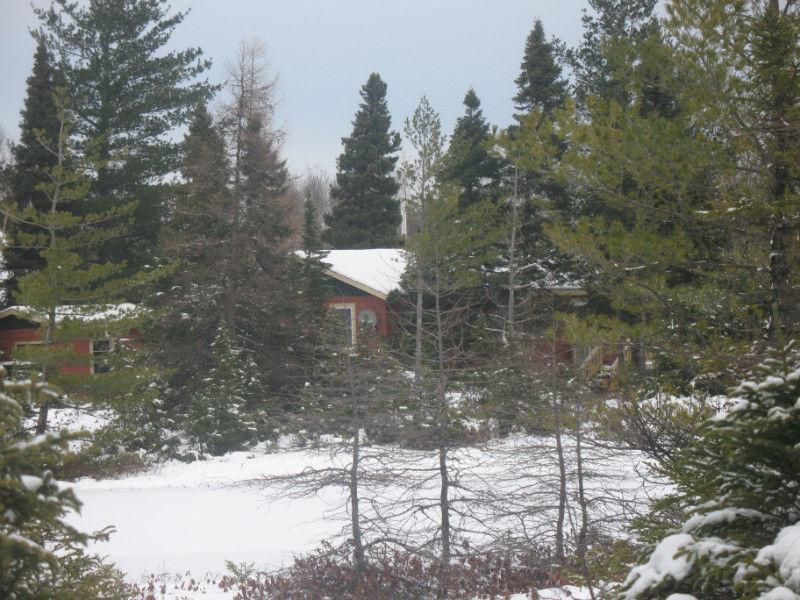 furnished cabin in Terra Nova