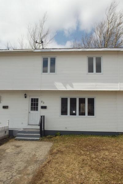 NEWLY RENOVATED GRAND FALLS-WINDSOR 3 Bedroom house Available