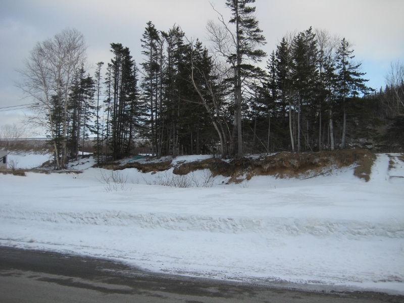 Lot#47, 5 South Brook Point-Muriel or Richard-NL Island Realty