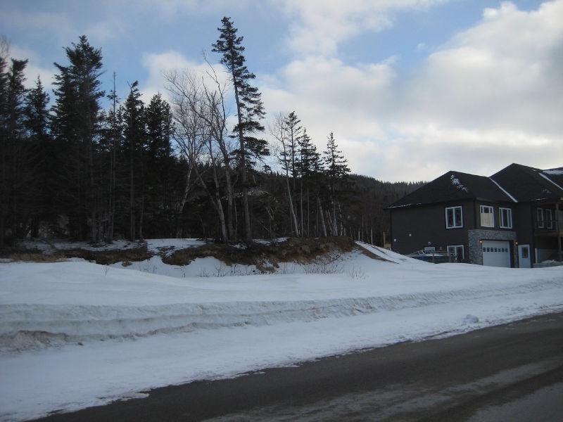 Lot#47, 5 South Brook Point-Muriel or Richard-NL Island Realty