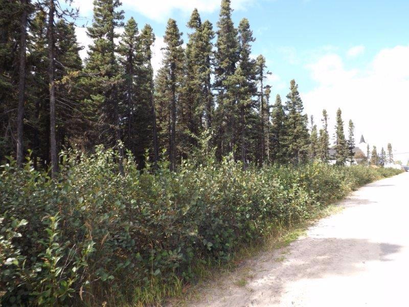 Re/Max is selling land in North West River, Labrador