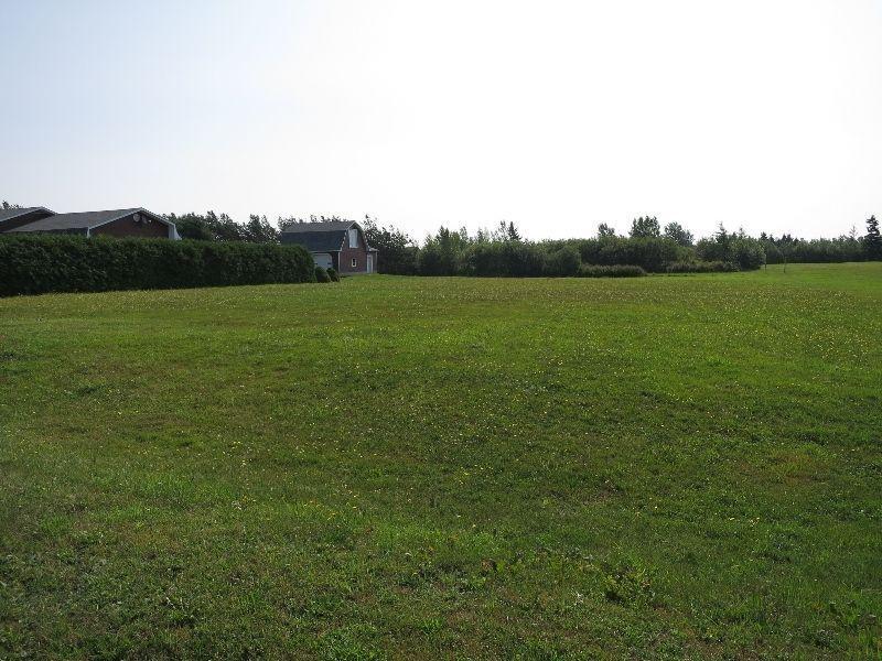 BUILD YOUR DREAM HOME ON THIS 1 ACRE LOT!