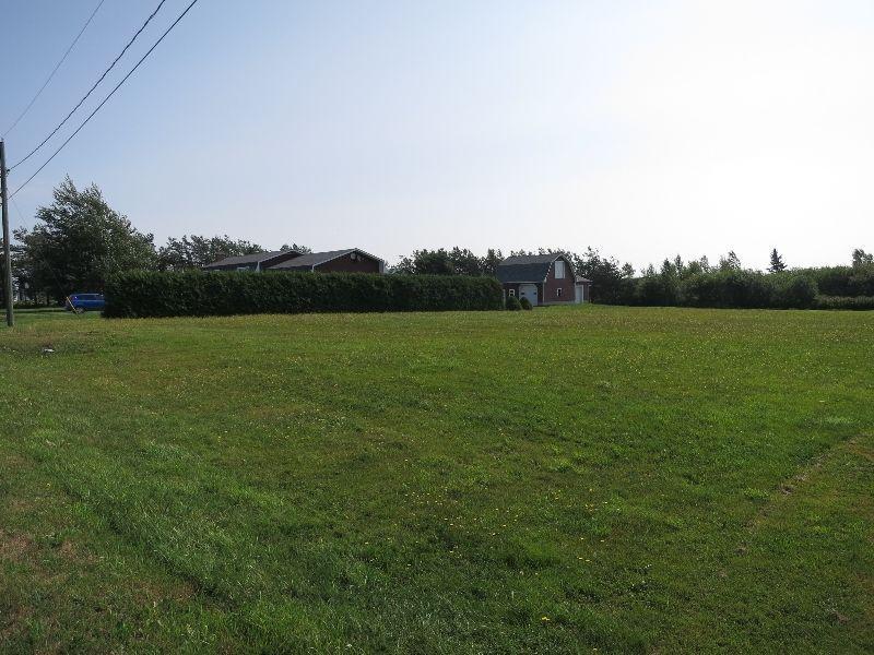 BUILD YOUR DREAM HOME ON THIS 1 ACRE LOT!