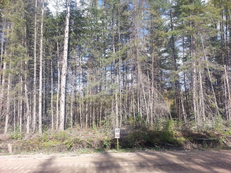 Cottage lot beside WhiteShell at Falcon West