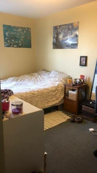 Furnished Room For the Summer Steps To Acadia U