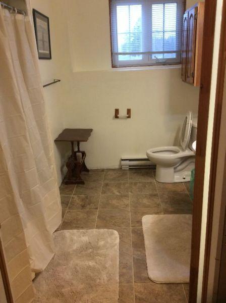 Private Downstairs Bathroom\Livingromm\Bedroom in Shediac River