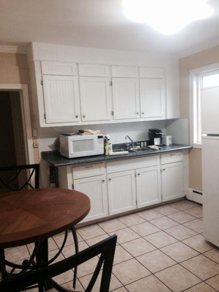 Room for rent in two bedroom downtown top flat $450.00
