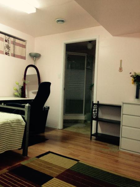 Lovely Basement Bedroom for Rent in Downtown