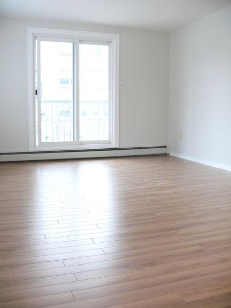 1 Bdrm Across from Barrington St Superstore, Walk Everywhere!