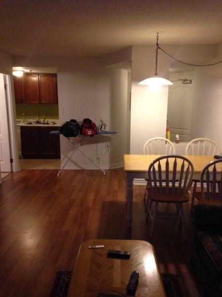 Large One Bedroom Barrington street June-Oct31