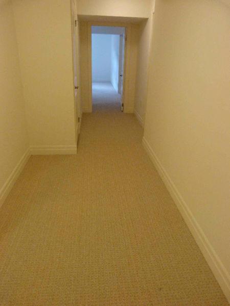 One bedroom basement apartment for rent in Southend of