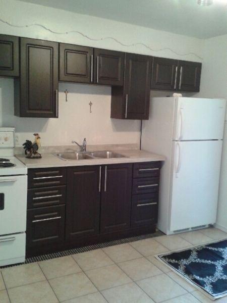 NEW KITCHEN CABINETS,CLOSE TO LINC/REDHILL,HARDWOOD