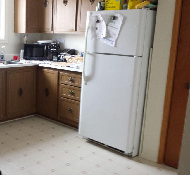 Large 1 Bedroom Apt - 12 Minute Walk to Downtown/University