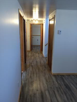 2 Bedroom duplex basement apartment for rent(recently renovated)