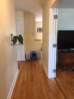 SEPTEMBER 1 - SPACIOUS 2 BEDROOM CENTRAL