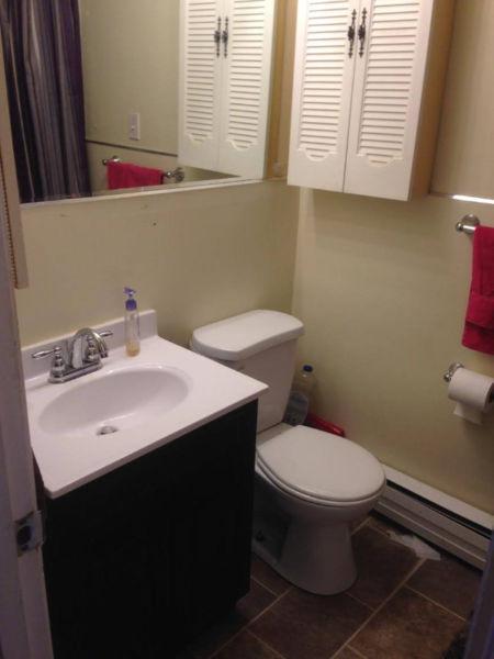 5 Bedroom Apartment 2 Blocks from SMU for June!