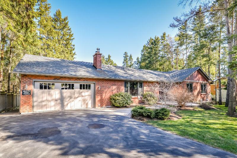 Set in Privacy Among Mature Trees on a Large Lot