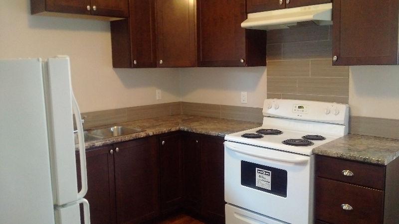 3 BED/ SOUTH-CENTRAL / FULLY REN'D