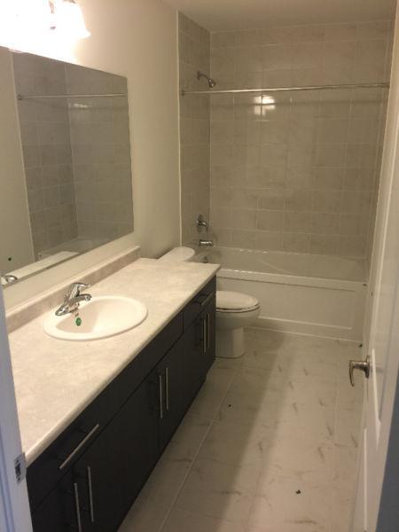 Young Professional in need of Professional Roommate!!!