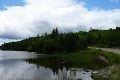 Beautiful TreedLand in MacAdam's Lake, ,