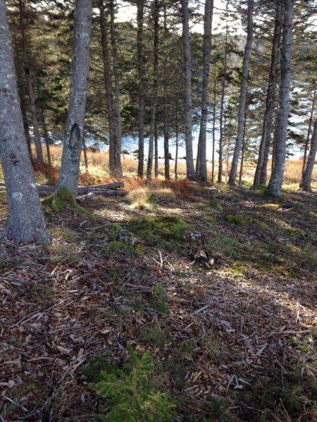 Oceanfront Lunenburg