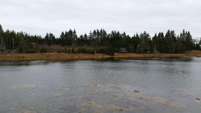 Private Waterfront in Sheet Harbour Passage!