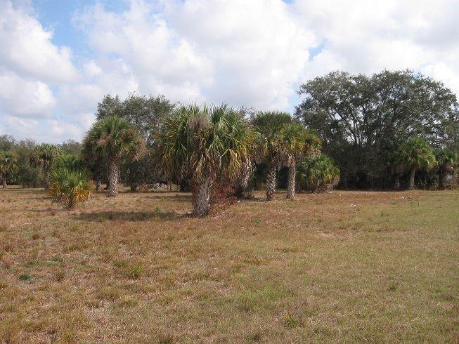 4 Acres near Fort Myers, Florida - build a Big Country Estate !