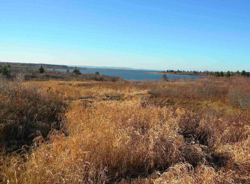 Beautiful 6.8 Acre Waterfront Lot in Tracadie NS, Stunning Views