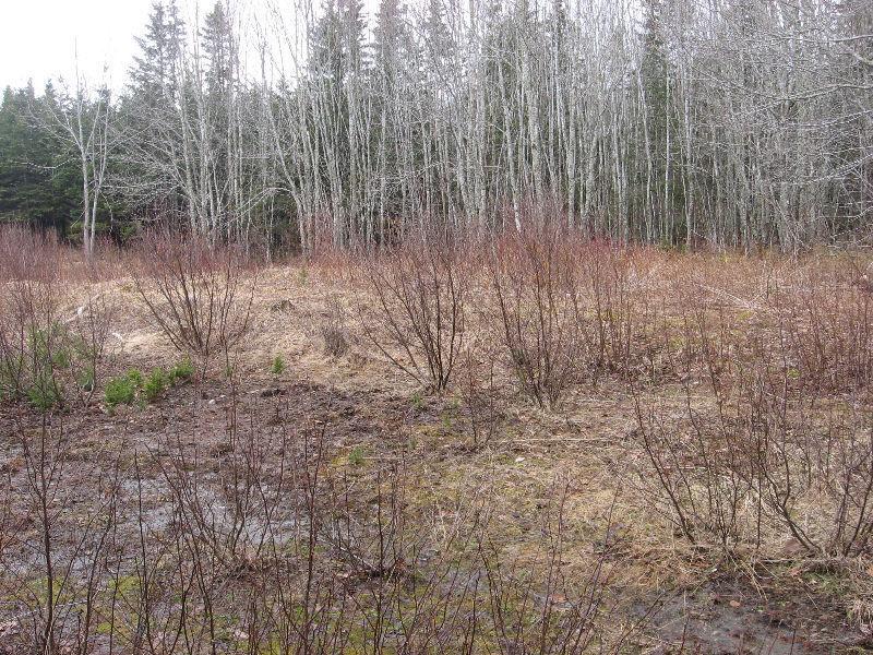 Extra Large Antigonish Co.Building Lot