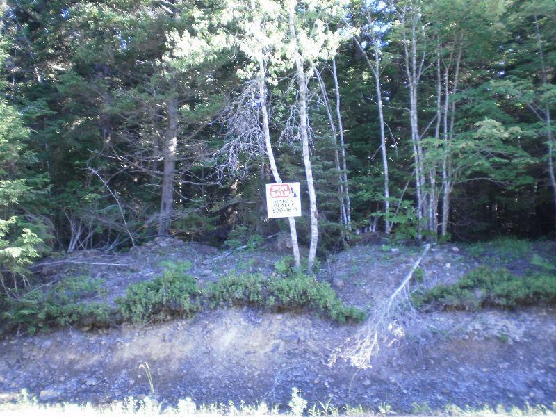 4-acre surveyed lot for sale