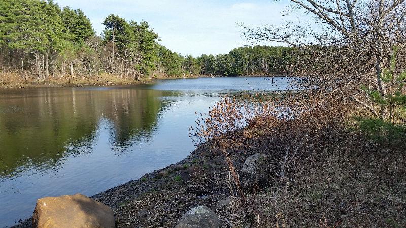 Dayspring Water Frontage (Building Lot/Meadow) - 2.5 Acres