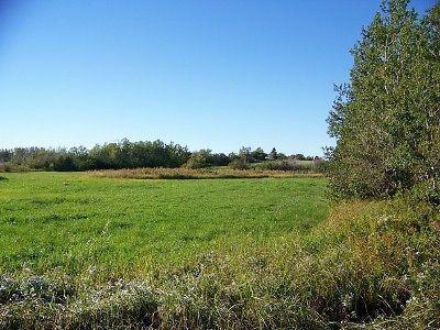 Ocean view 6 acres in Malagash, NS