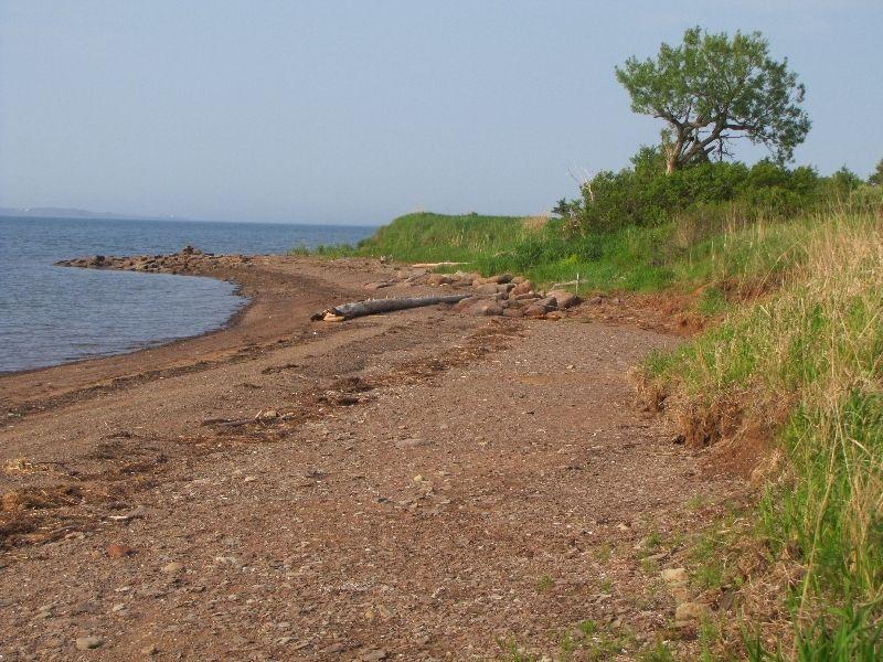 Sea Side land for sale - Sand Point, Nothumberland Shore
