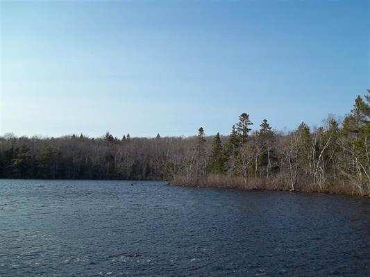 200 ft+-private lake front lot for sale on Dove Lake