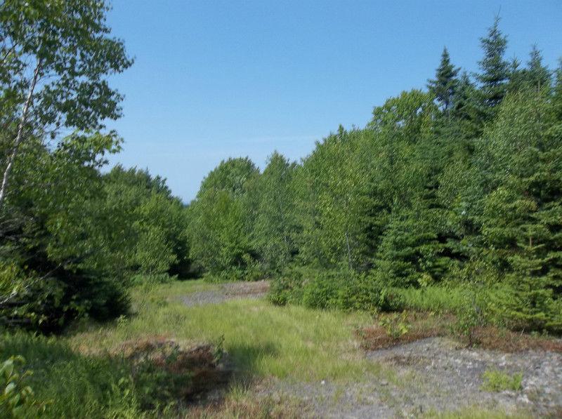 NEW PRICE! Land Financing Considerations: 56.55 Acres