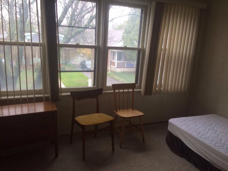 A nice room for rent