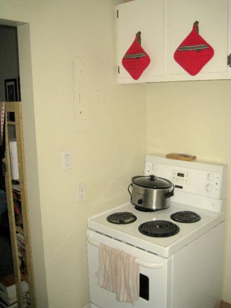 Charming 1 Bedroom Apt near Downtown and UWO, available Aug 1st
