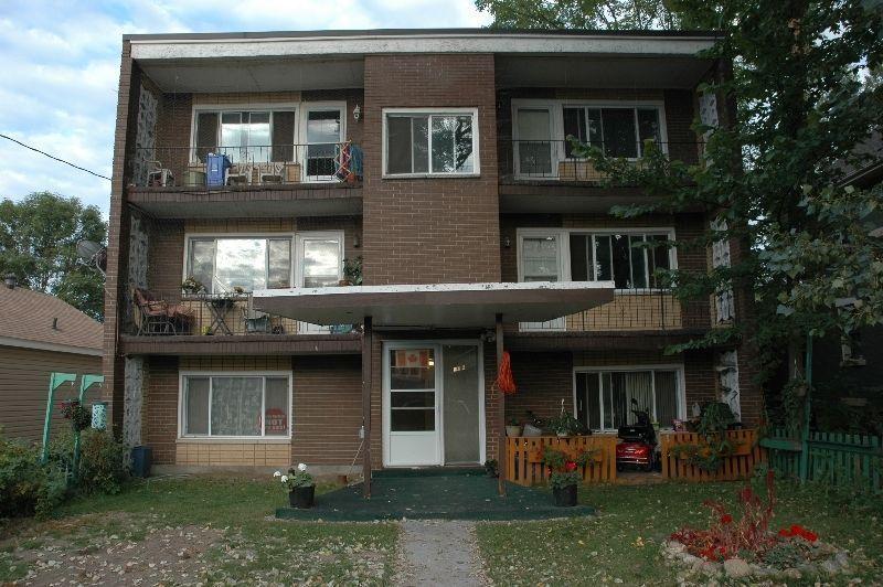 Large 1-Bedroom Apartment- July 1st