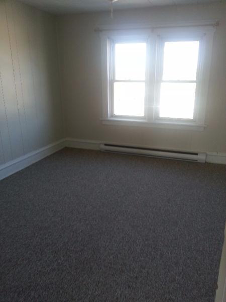 One bedroom plus, non smoking loft apartment