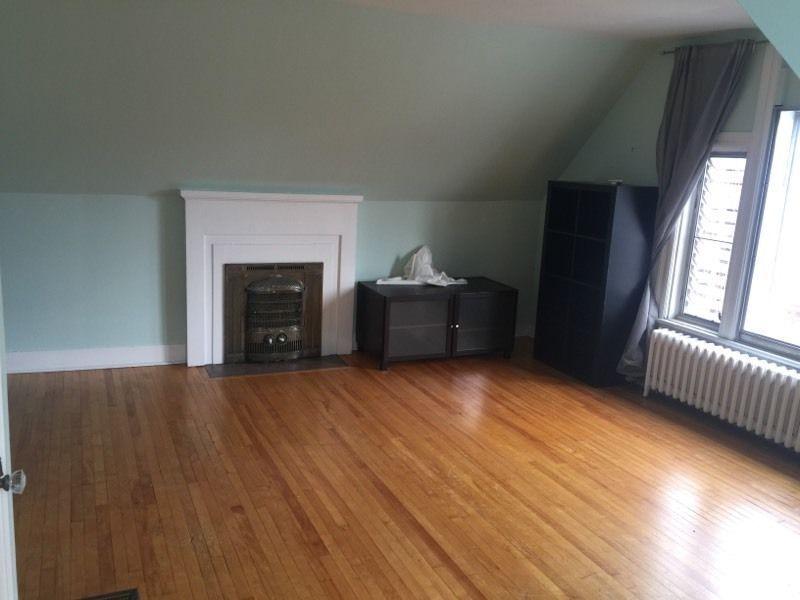 Beautiful 1 bedroom apartment in the glebe