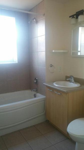 Spacious and All Inclusive One Bedroom Apartment!
