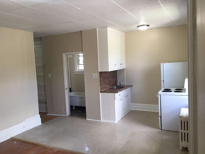 Large 1 Bedroom with Den, just renovated !