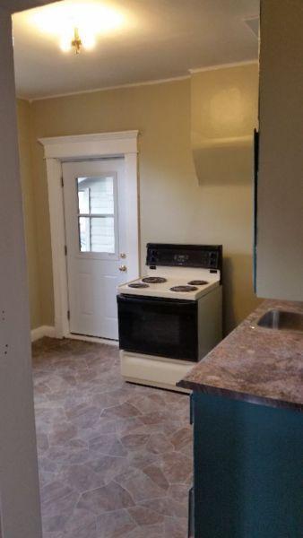 One Bedroom Apartment - Newly Renovated