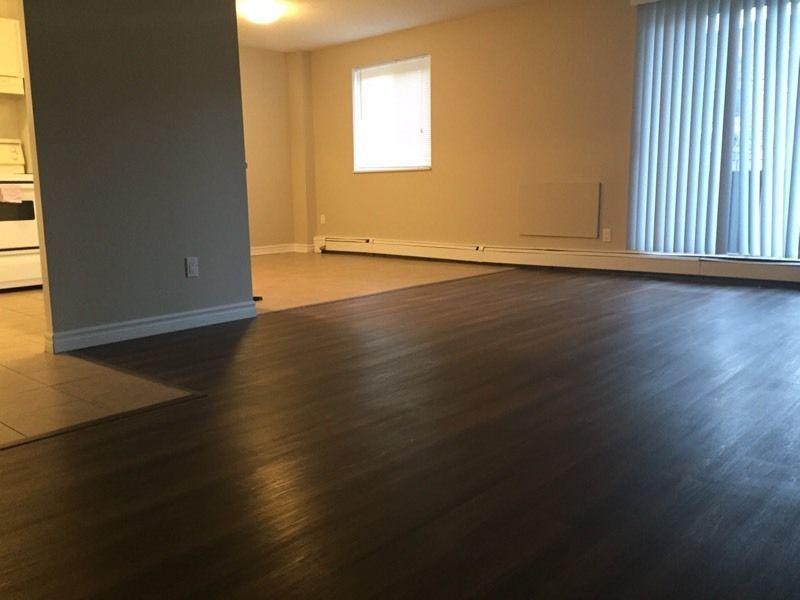 ***Newly Renovated 1 Bedroom Apartment!***