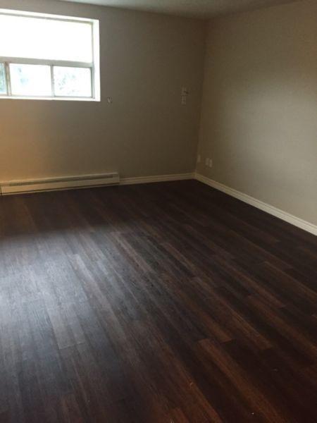 **Newly Renovated 1 Bedroom Apartment!**